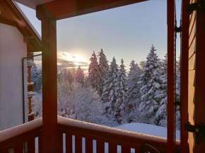 Luxury apartments Prežin Hočko Pohorje